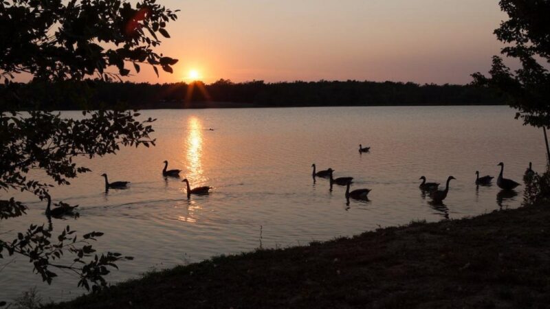 Craighead Forest Park tại Jonesboro