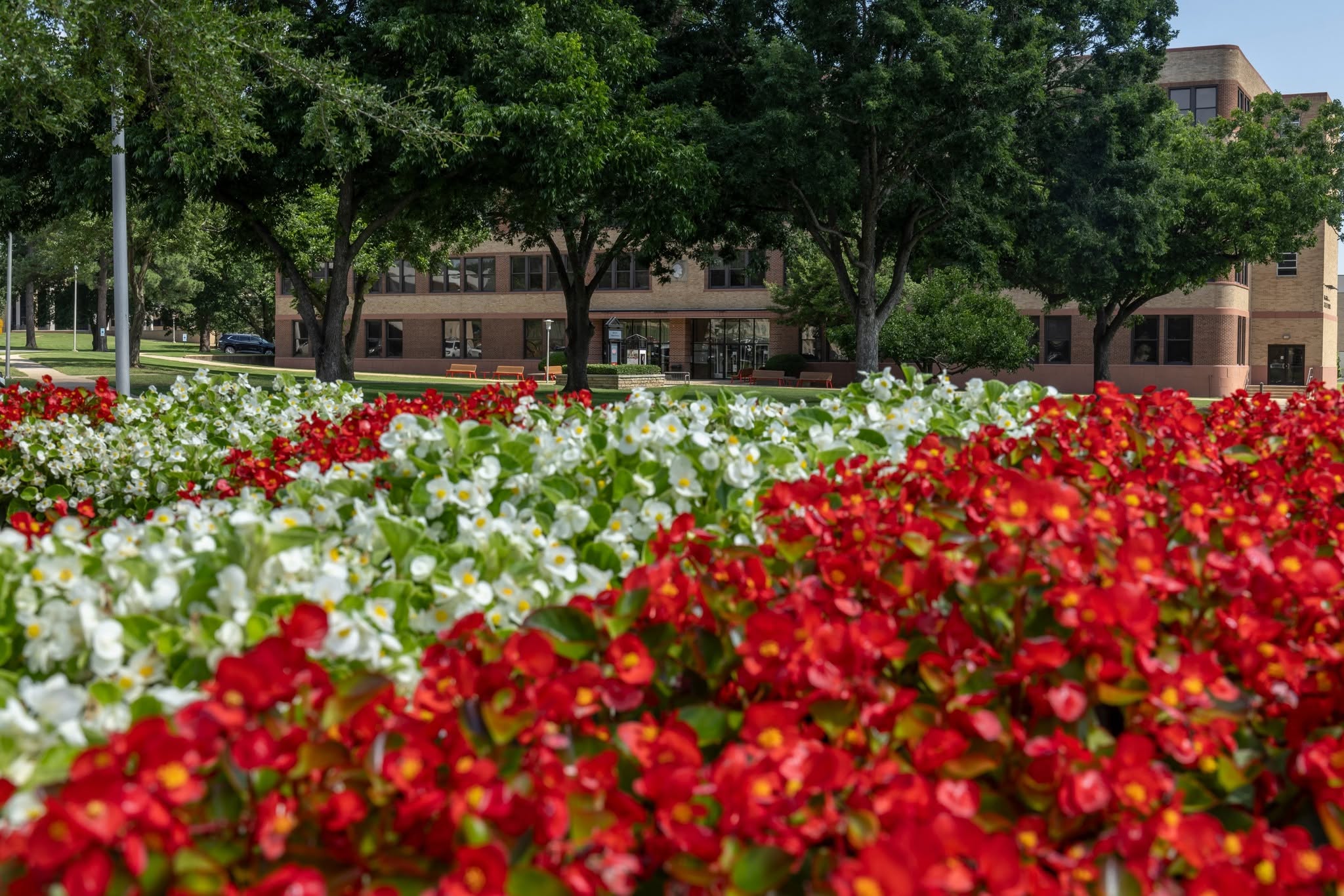 Hình ảnh campus Arkansas State University